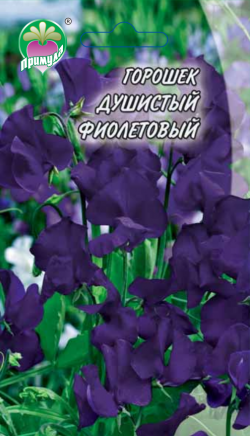 Горошек Душистый Фиолетовый ТМ "Примула"